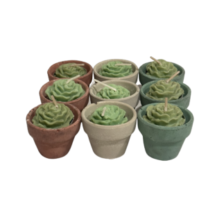 Succulent Pot Candle Set – Handcrafted Decorative