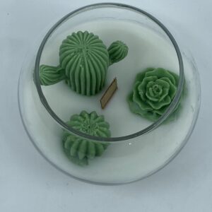 Cactus Terrarium Candle – Handcrafted Decorative