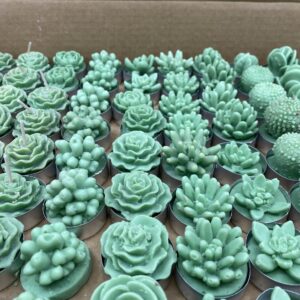 Assorted Succulent Tealight Candle Set – Handcrafted Decorative