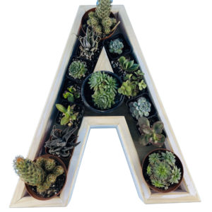 A-Shaped Wood Letter Candle