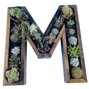 M-Shaped Wood Letter Candle