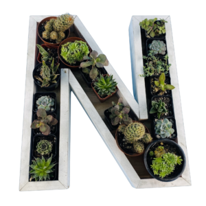N-Shaped Wood Letter Candle