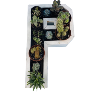 P-Shaped Wood Letter Candle