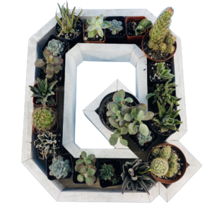 Q-Shaped Wood Letter Candle