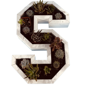S-Shaped Wood Letter Candle