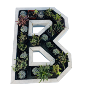 B-Shaped Wood Letter Candle