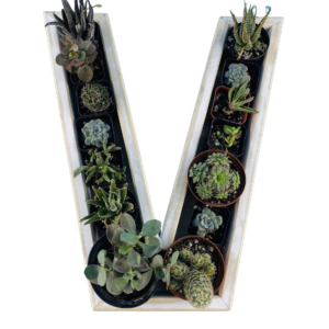 V-Shaped Wood Letter Candle