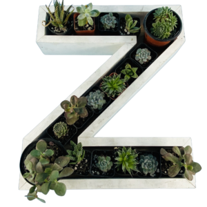 Z-Shaped Wood Letter Candle