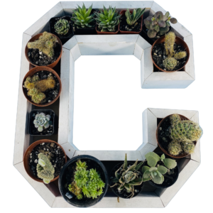 C-Shaped Wood Letter Candle