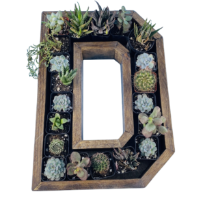 D-Shaped Wood Letter Candle