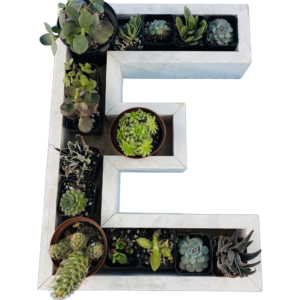 E-Shaped Wood Letter Candle