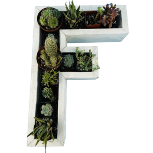 F-Shaped Wood Letter Candle