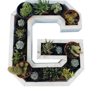 G-Shaped Wood Letter Candle
