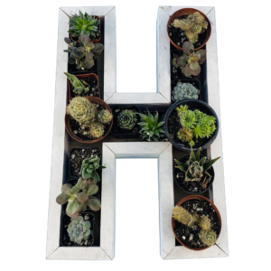 H-Shaped Wood Letter Candle